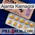Ajanta Kamagra 41